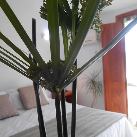 Velasole 3* 포사타