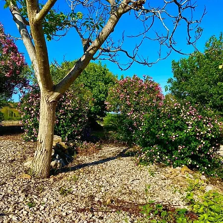 호텔 Velasole 포사타