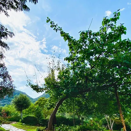 Hotel Velasole Posada (Sardinia)