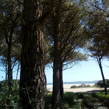 Velasole 3*