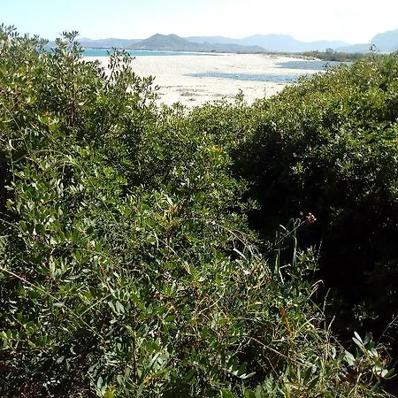 Velasole