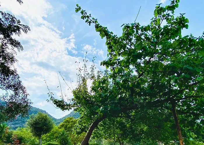 酒店 Velasole 波萨达